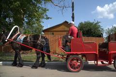 Historic street in Suzdal, Vladimir Oblast, Russia with traditional wooden houses and lush greenery in summer