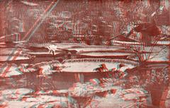 Anaglyph stereoscopic photo of blooming Victoria Regia in the Hortus botanical garden greenhouse in Amsterdam, 1924, viewed with two-color glasses