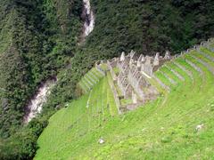 Ancient Incan ruins at Wiñay Wayna in Peru surrounded by lush green vegetation