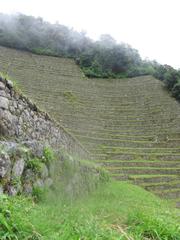 Winay Wayna ancient Inca terraces on lush green mountain slope