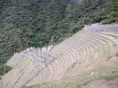Wiñay Wayna Inca Trail ruins with terraced landscape and mountainous backdrop
