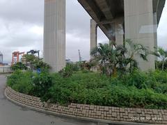 Stonecutters Bridge and Tsing Sha Highway flyover over Container Port Road South on Stonecutters Island in Hong Kong, June 2024
