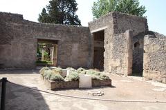 House Of Octavius Quartio