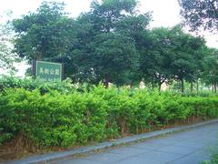 Taipei Art Park signboard in Taipei City