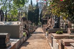 Consolata Cemetery with unique headstones and tree-lined pathways
