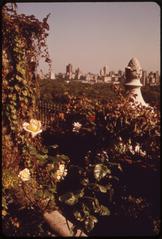 Antique pottery sets with elegant hybrid roses and flowering plants on a penthouse terrace overlooking Central Park