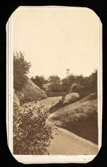Historical view of Central Park in New York City with people walking and horse-drawn carriages