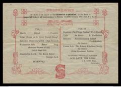 Back side of concert souvenir program for Band of Imperial School of Instruction music concert in Ezbekiah Gardens Cairo January 1918