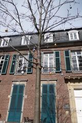 Easter decoration in the courtyard of Hetjens Museum in Dusseldorf Germany 2021