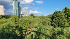 Yeouido Saetgang Ecological Park