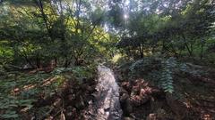 Scenic view of Yeouido Saetgang Ecological Park with lush greenery and water bodies