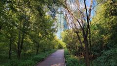 Scenic view of Yeouido Saetgang Ecological Park with greenery and water