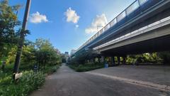 Yeouido Saetgang Eco Park aerial view