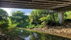 Scenic view of Yeouido Saetgang Ecological Park with lush greenery and water bodies