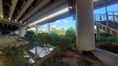 Scenic view of Yeouido Saetgang Ecological Park with lush greenery and serene water bodies