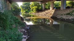 Panoramic view of Yeouido Saetgang Ecological Park in Seoul