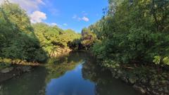 Scenic view of Yeouido Saetgang Ecological Park with walking paths and water bodies