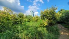 Scenic view of Yeouido Saetgang Ecological Park with lush greenery and a calm river