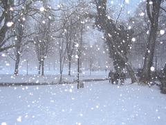 Winter landscape of Hofgarten park in Düsseldorf with leafless trees and snow