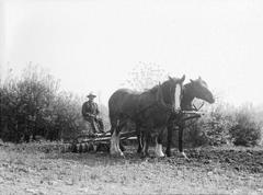 Farmer from LaSalle using two horses to pull a mouldboard plow to move earth in 1943