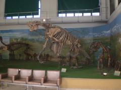 Bernardino Rivadavia Natural Sciences Museum