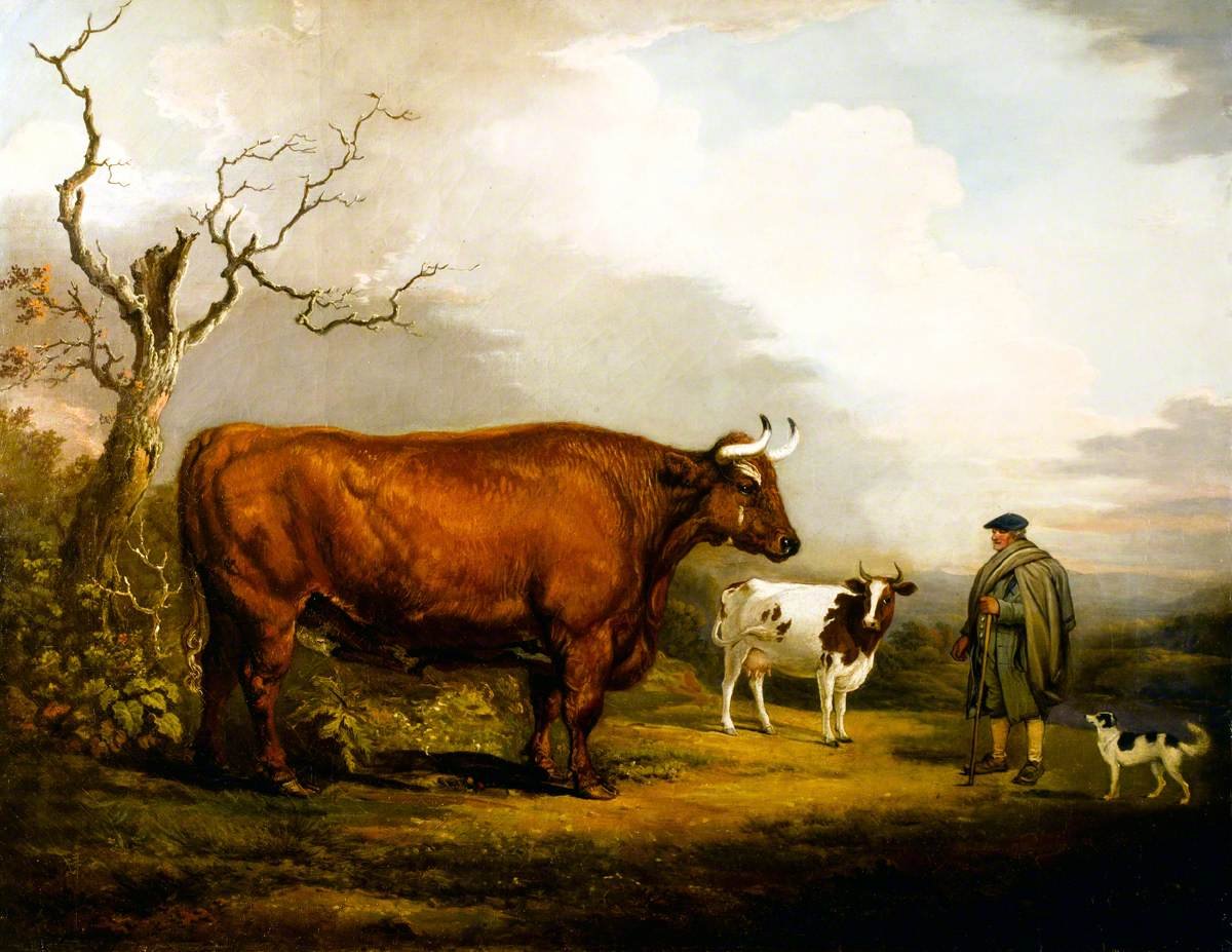 The Spottiswoode Ox painting by Alexander Nasmyth