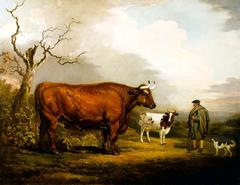 The Spottiswoode Ox painting by Alexander Nasmyth