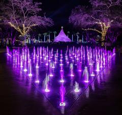 Dancing water fountain with colored lights at Christmas Holidays in West Palm Beach with the Sandi Tree sand sculpture lit by laser lights in the background