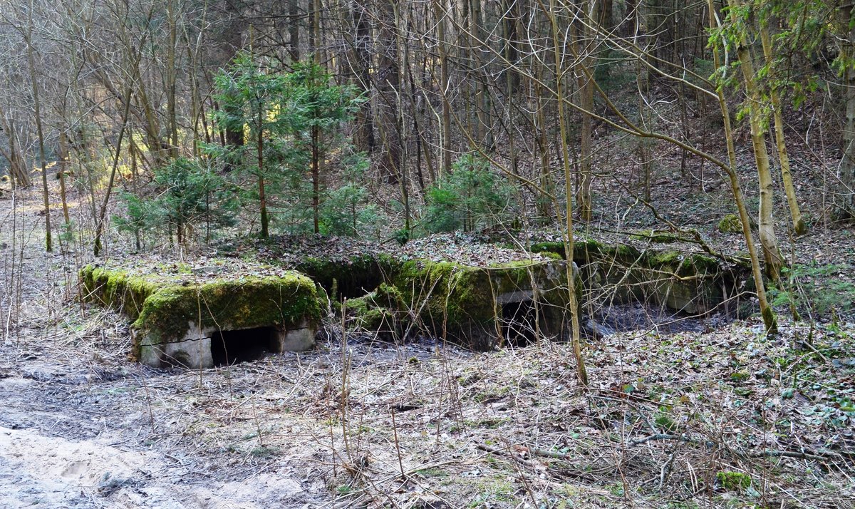 Military fortifications ruins in Anciučiai Reserve, Vilnius