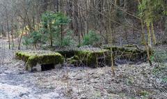 Military fortifications ruins in Anciučiai Reserve, Vilnius