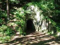Antakalnio bunkers in Pavilnių Regional Park, Vilnius