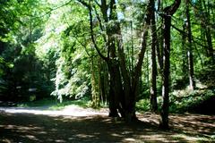 Scenic view of Antakalnio kraštovaizdžio draustinis nature reserve in Vilnius