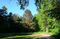 Scenic view of Belmonto botaninis-zoologinis draustinis with lush green trees and a small pond in Vilnius