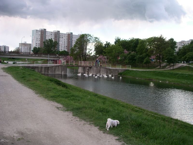 View of a residential building on Tupolevova street seen behind a bridge in Bratislava, Slovakia