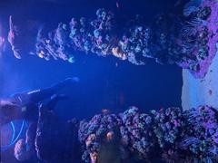 Palma Aquarium