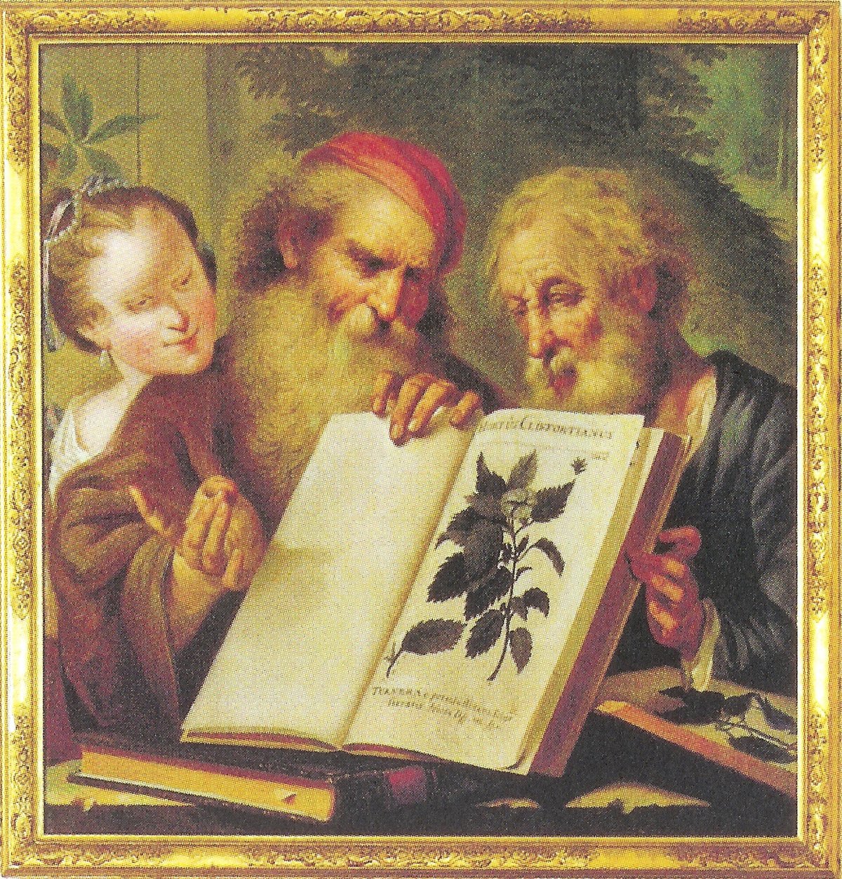 Jacob de Wit Allegory on Linnaeus' book Hortus Cliffortianus painting