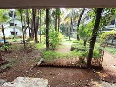 Balcony with lush green trees around