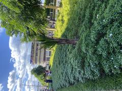 Cebu Plaza Independencia with statue of Miguel López de Legazpi and lush green park area