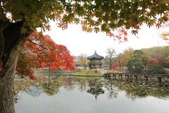 Hyangwonjeong pavilion on a serene pond at Gyeongbokgung Palace in Seoul, South Korea