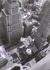 Financial district rooftops with a domed tower surrounded by tall office buildings in Manhattan