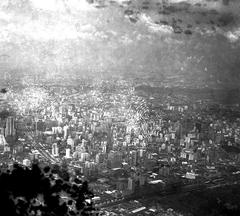 Aerial view of São Paulo cityscape with tall buildings and lush greenery