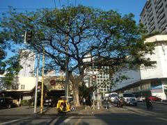 Buildings along Chino Roces Avenue in Pio del Pilar, Makati City including Makati Cinema Square Tower and Paseo de Roces Legaspi Tower