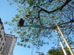 Street view of Chino Roces Avenue buildings including Makati Cinema Square Tower, Plaza Fair, and other landmarks in Pio del Pilar, Makati City