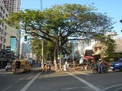 Buildings along Chino Roces Avenue in Pio del Pilar, Makati City including Makati Cinema Square Tower, Plaza Fair, Super 8 Grocery Warehouse, and Paseo de Roces Legaspi Tower