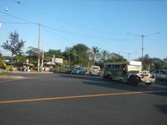 Sales Interchange complex highway flyovers connecting South Luzon Expressway and EDSA in Metro Manila