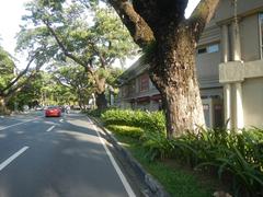 San Antonio Plaza on McKinley Road in Forbes Park, Makati City with buildings and greenery