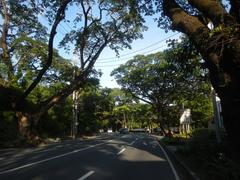 San Antonio Plaza on McKinley Road in Forbes Park, Makati City with trees and buildings