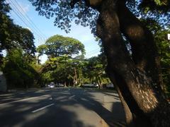 San Antonio Plaza along McKinley Road in Forbes Park, Makati City