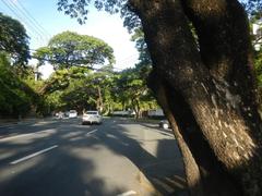 San Antonio Plaza on McKinley Road in Forbes Park, Makati City showing street view with buildings and greenery