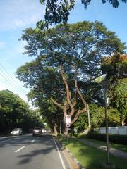 San Antonio Plaza along McKinley Road in Forbes Park, Makati City, showing modern buildings and greenery